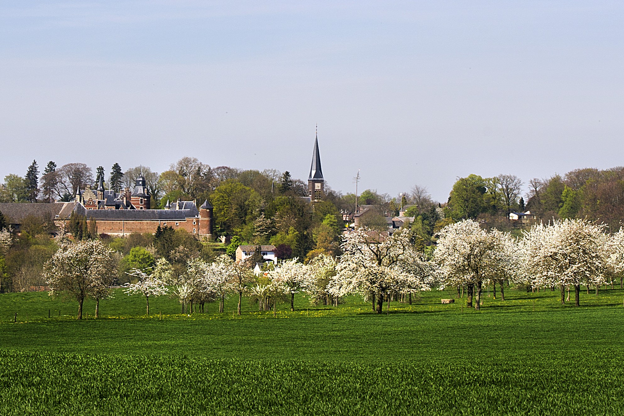 landgoed met fruitbomen in de bloesem en kasteel op de achtergrond
